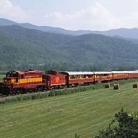 Honeymoon Getaway In Woods Near Noc And Smoky Mtn Rr Βίλα Bryson City Εξωτερικό φωτογραφία