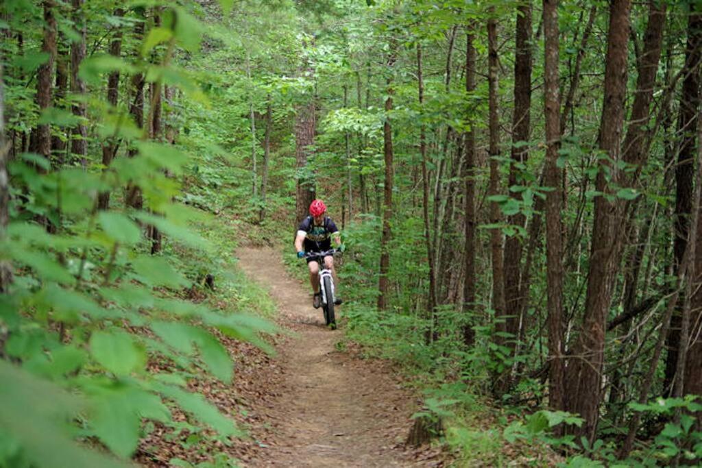 Honeymoon Getaway In Woods Near Noc And Smoky Mtn Rr Βίλα Bryson City Εξωτερικό φωτογραφία
