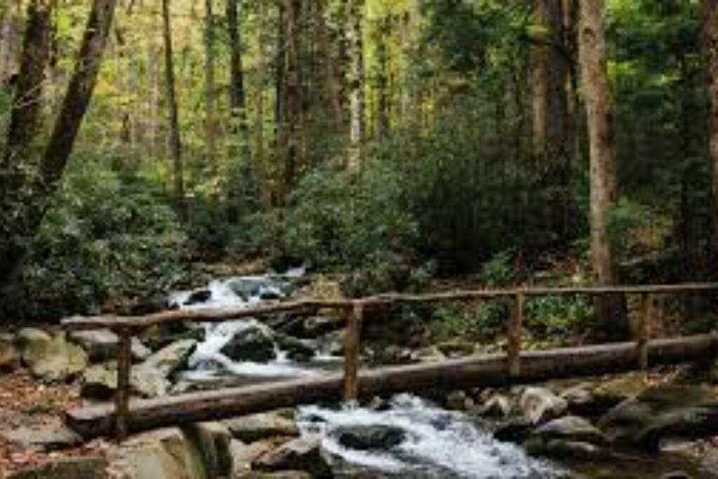 Honeymoon Getaway In Woods Near Noc And Smoky Mtn Rr Βίλα Bryson City Εξωτερικό φωτογραφία