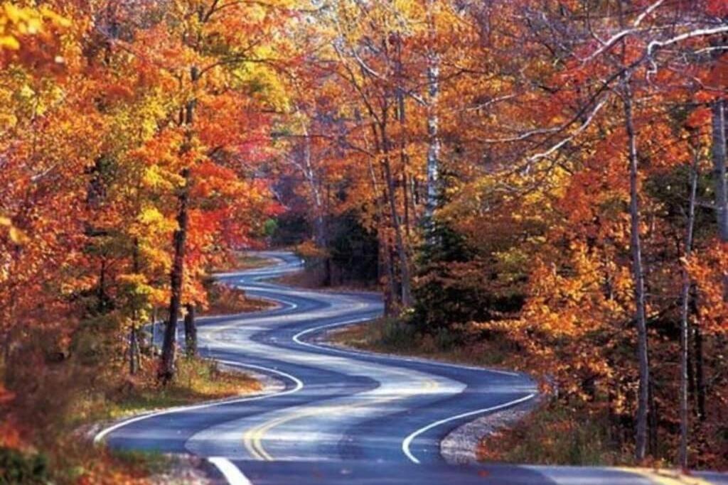 Honeymoon Getaway In Woods Near Noc And Smoky Mtn Rr Βίλα Bryson City Εξωτερικό φωτογραφία